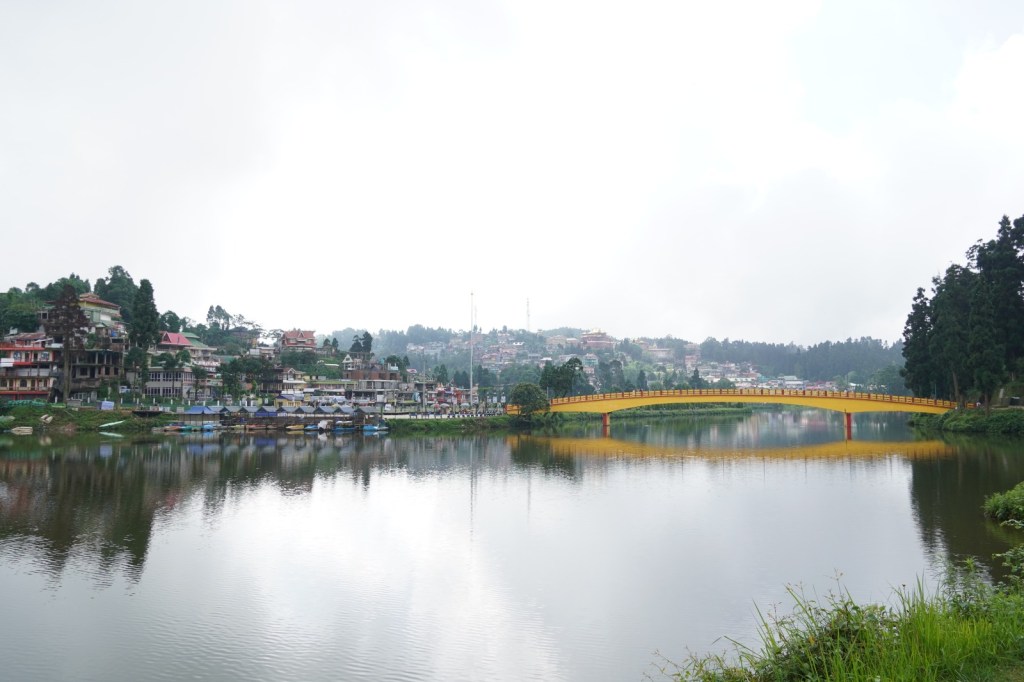 ধনেশ পাখির খোঁজ আর পাওয়া, না-পাওয়ার হিসেবনিকেশ…